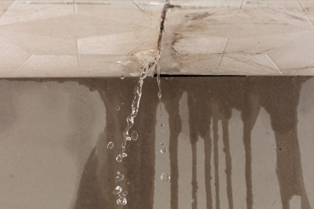 Professional Water Damage Inspection technician working in Weimar, TX